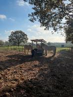 Paddock paradise plekje voor koudbloed pony, Dieren en Toebehoren