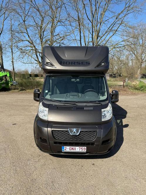 Paardencamionette met chauffeur te huur !, Dieren en Toebehoren, Paarden en Pony's | Trailers en Aanhangwagens, Zo goed als nieuw