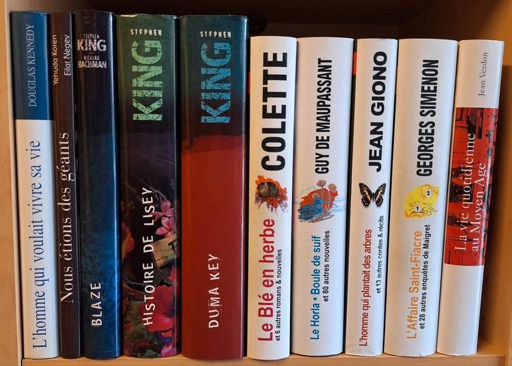 LIVRES grand format NEUFS thèmes divers, Livres, Romans, Neuf, Enlèvement ou Envoi