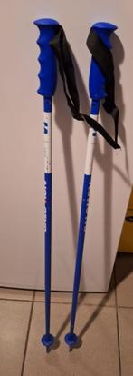 ski stokken  Salomon Race, Sport en Fitness, Skiën en Langlaufen, Ophalen, Gebruikt, Stokken, Salomon