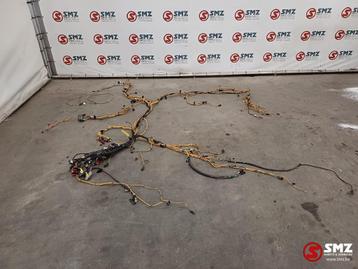 Wiring Harnesses Chassis / Engine / Lightning Cate