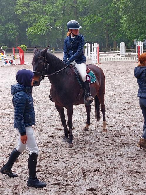 Halfpension op pony, Dieren en Toebehoren, Paarden