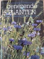 Genezende planten - Bruno Vonarburg, Ophalen of Verzenden, Zo goed als nieuw