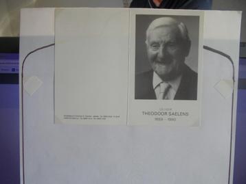dp Theodorus Saelens - 100 jarige beschikbaar voor biedingen