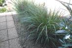 Beplanting, Tuin en Terras, Ophalen, Gebruikt, Overige typen