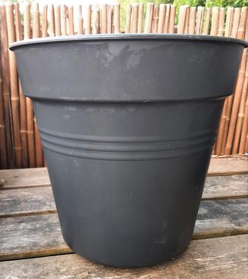  Elho grow pot ( planten/ kruiden) beschikbaar voor biedingen
