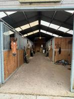 Pensionstalling te Kampenhout, 1 paard of pony, Stalling