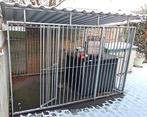 Hondenren, Dieren en Toebehoren, Ophalen, Hondenkennel, 100 cm of meer, 110 cm of meer