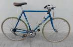 Koersfiets Bertin ultralicht staal 28inch Compagnolo, 55 tot 59 cm, Ophalen, Oxford Sparta Batavus Norta gazelle Granville Sparta cube trek