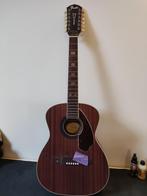 12 string project Fender € 125, Muziek en Instrumenten, Ophalen of Verzenden, Gebruikt, Overige typen, 12-snarig