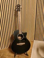 Ibanez ae295 wk, Muziek en Instrumenten, Ophalen