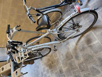 Herenfiets mooie staat alles werkt beschikbaar voor biedingen