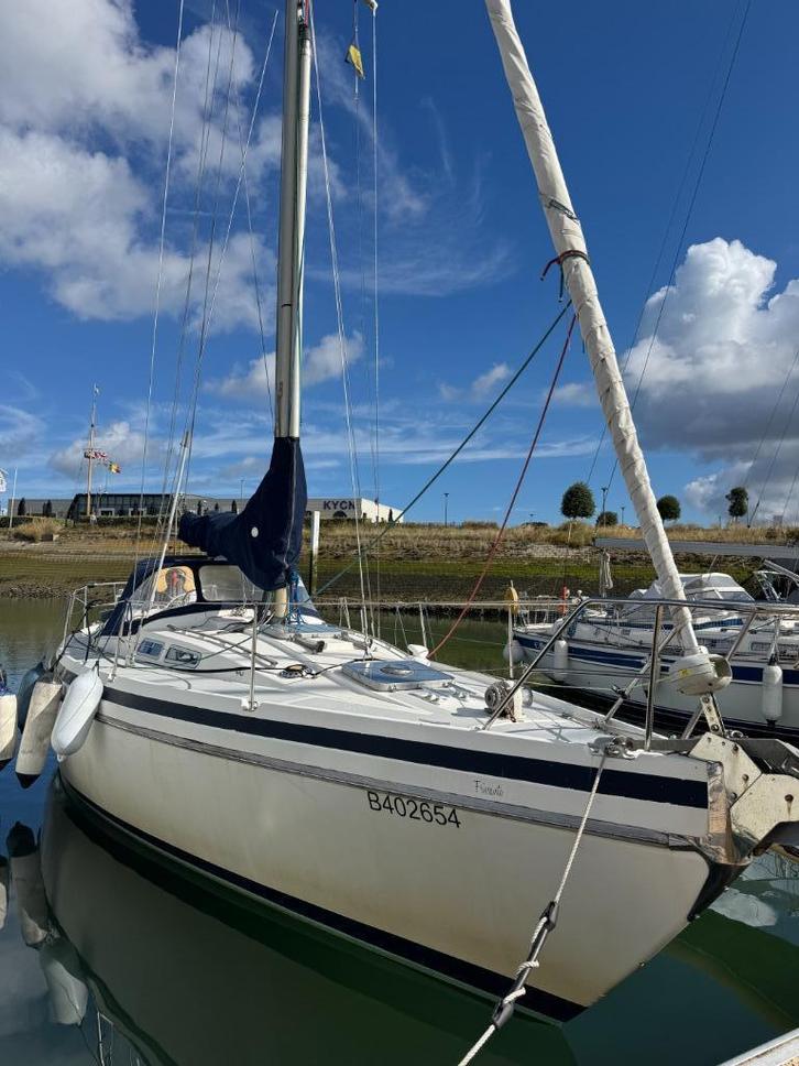 Contest zeilboot 36 CS te koop, Watersport en Boten, Kajuitzeilboten en Zeiljachten, Gebruikt, Tourjacht of Cruiser, Polyester