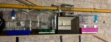 Cage oiseaux  beschikbaar voor biedingen