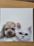 Foto poesje en hondje op houten kader.  39 cm x 39 cm, Huis en Inrichting, Ophalen, Gebruikt, Minder dan 50 cm, Minder dan 50 cm