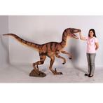 Velociraptor – Dinosaurus beeld Lengte 270 cm, Ophalen, Nieuw