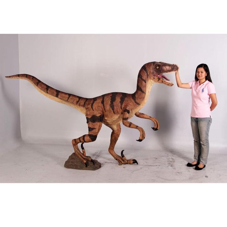 Velociraptor – Dinosaurus beeld Lengte 270 cm, Verzamelen, Dierenverzamelingen, Nieuw, Ophalen