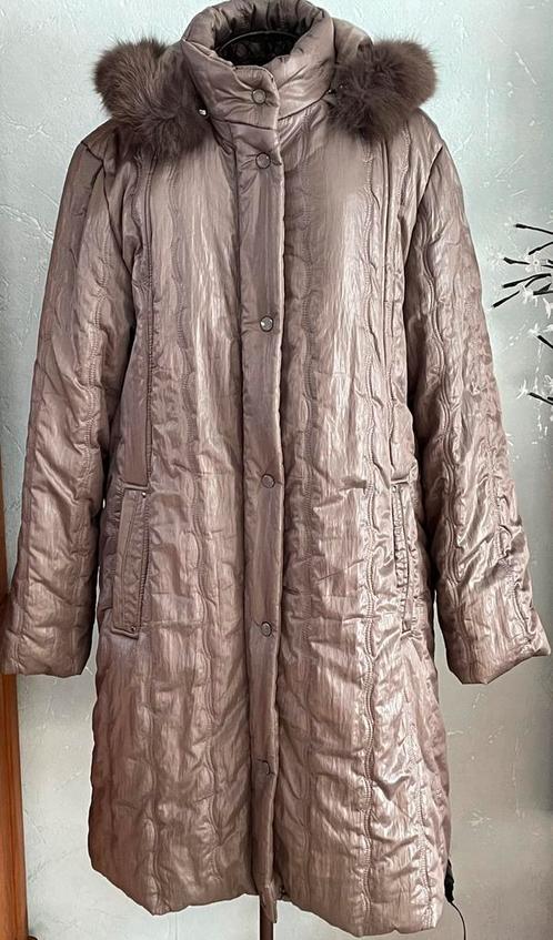 Veste d'hiver confortable Elisa Rosa XL Nouveau, Vêtements | Femmes, Vestes | Hiver, Neuf, Taille 46/48 (XL) ou plus grande, Brun