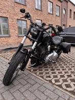Harley davidson 2010, Motoren, Particulier