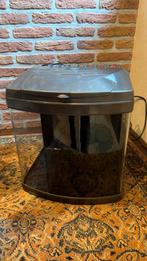 Aquatic Nature Evolution 1 aquarium grijs, Ophalen, Zo goed als nieuw