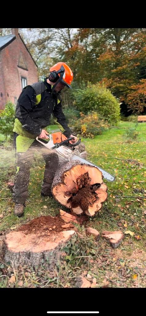 Jardinier, Grimpeur, Élagueur, Jardin & Terrasse, Taille-haies, Enlèvement