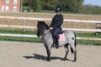 Leuke a pony, Dieren en Toebehoren, Pony's, Merrie