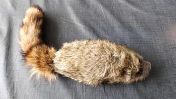 Rocky Raccoon Magic Gimmick beschikbaar voor biedingen