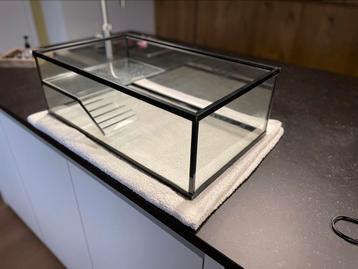 Waterschilpadden terrarium 60 x 35 x 20 beschikbaar voor biedingen