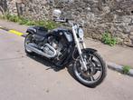 Motorfietsen, Motoren, 2 cilinders, Chopper, Particulier, Meer dan 35 kW