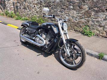 Motos, Plus de 35 kW, Chopper, 1250 cm³, 2 cylindres