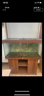 Aquarium grote met kast juwel 121 cm x 61 cm hoog x50 cm die, Dieren en Toebehoren, Ophalen, Gebruikt, Leeg aquarium