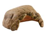 Exo terra schildpaddengrot XXL - nieuw, Dieren en Toebehoren, Ophalen of Verzenden, Nieuw, Tak, Plant, Rots of Steen