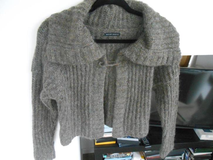 Sarah Pacini, Kleding | Dames, Truien en Vesten, Gedragen, Bruin, Ophalen of Verzenden