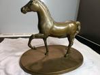 Bronzen paard 1.75 kg.   23cm hoog   26.5cm long, Antiek en Kunst, Ophalen