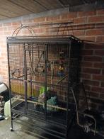 Cage a vendre, Animaux & Accessoires, Enlèvement ou Envoi