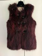 Bont jasje zonder mouwen, Kleding | Dames, Ophalen of Verzenden, Zo goed als nieuw