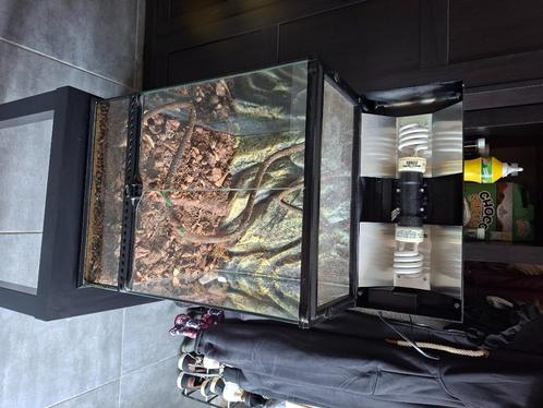 Terrarium, Dieren en Toebehoren, Reptielen en Amfibieën | Toebehoren, Gebruikt, Terrarium of Paludarium, Ophalen