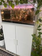 Un grand aquarium de 90 litres,, Enlèvement ou Envoi, Comme neuf