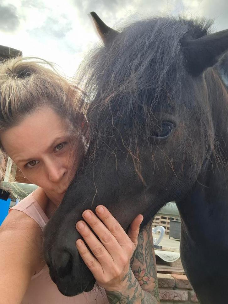 Allerliefste 3jarige Shetlander, Immo, Op zoek naar een appartement