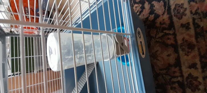 Verkoop mijn GROTE KOOI voor Kleine DIEREN ( Goede staat  ), Dieren en Toebehoren, Knaagdieren en Konijnen | Hokken en Kooien