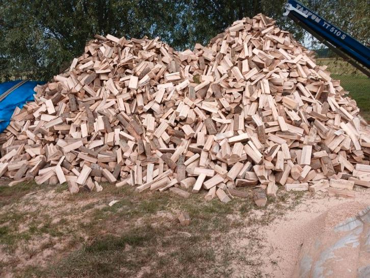 Droog Brandhout hardhout eik beuk, Tuin en Terras, Brandhout, Blokken, Eikenhout, Ophalen