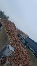 Bieten mais stro, Dieren en Toebehoren