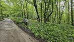 Terrain à vendre à Cerfontaine, Tot 200 m²