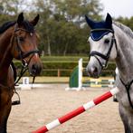 Paardentraining & Rijlessen – Dressuur en Springen, Dieren en Toebehoren, Paarden