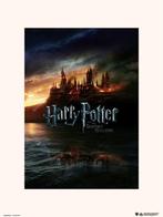 Harry Potter art print 30x40 cm, Nieuw, Ophalen of Verzenden, Boek of Poster