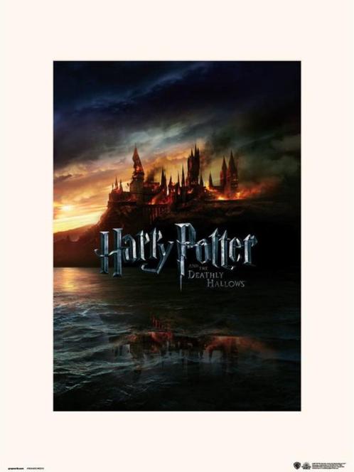 Harry Potter art print 30x40 cm, Verzamelen, Harry Potter, Nieuw, Boek of Poster, Ophalen of Verzenden