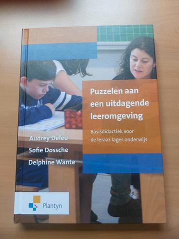 Puzzelen aan een uitdagende leeromgeving beschikbaar voor biedingen