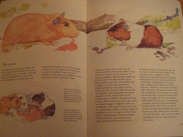 Leerrijk dierenboek ”Dieren in en om het huis”, Boeken, Dieren en Huisdieren, Zo goed als nieuw, Overige diersoorten, Ophalen of Verzenden