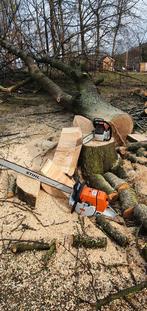 Kap en Snoeiwerken - Freeswerken - Tuinwerken - Betonschutti, Tuin en Terras, Brandhout, Ophalen of Verzenden