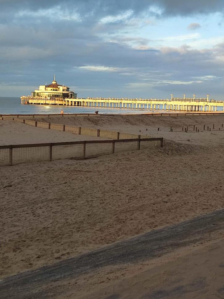 3 winkelpanden te koop op de Zeedijk. Van eigenaar., Articles professionnels, Immobilier d'entreprise, Espace commercial, Espace commercial